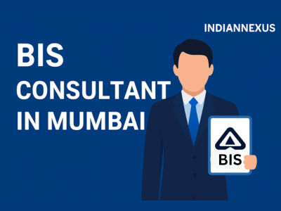 BIS Consultants in Mumbai